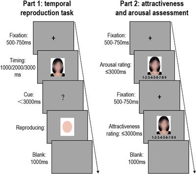 How Facial Attractiveness Affects Time Perception: Increased Arousal Results in Temporal Dilation of Attractive Faces
